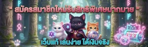 bsbet555 สมัคร